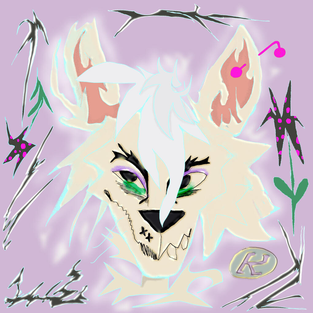 digital headshot: 35 USD